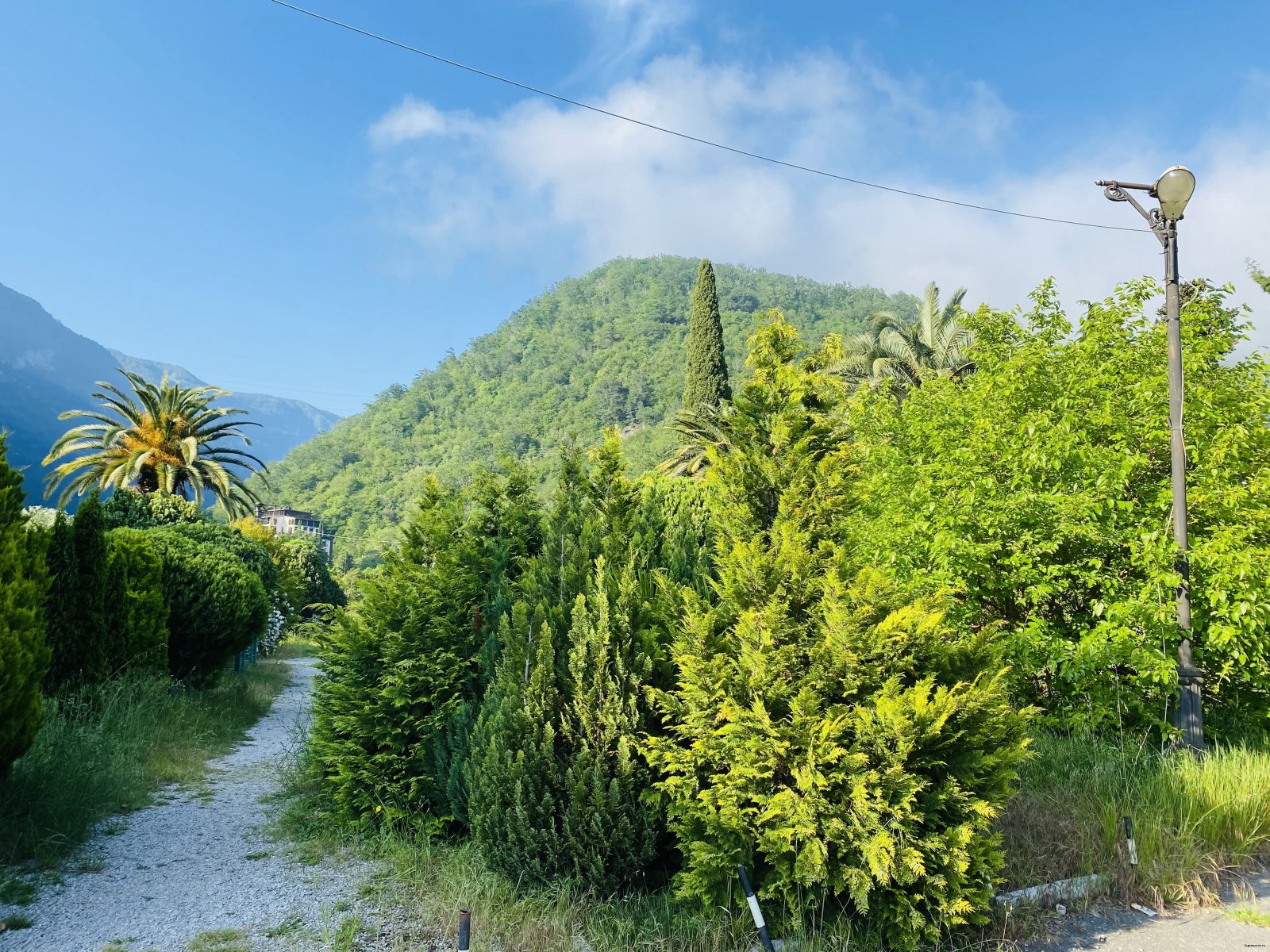 Колоннада гагра. Афон абхазия. Долина семи озер абхазия. Легенды абхазии тур. Легенды абхазии тур.