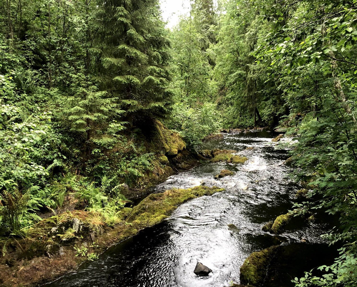 Карелия до самого Белого моря (Соловки - Петроглифы), стоимость и программа тура, заказать тур в Карелию от компании 